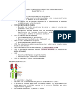 MECANISMO DE ACCIÓN DE LA INSULINA Y RESISTENCIA EN OBESIDAD Y DIABETES TIPO 2-VÍA DE SEÑALIZACIÓN NFKB