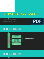 5 - Nervos Cranianos