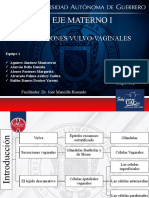 Infecciones vulvo-vaginales: clasificación, síntomas y tratamiento