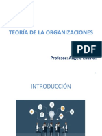 Teoria de La Organización