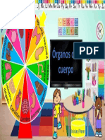 Ruleta de Organos Del Cuerpo