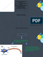 Actividad Sumativa 2 - Cristian Pinto