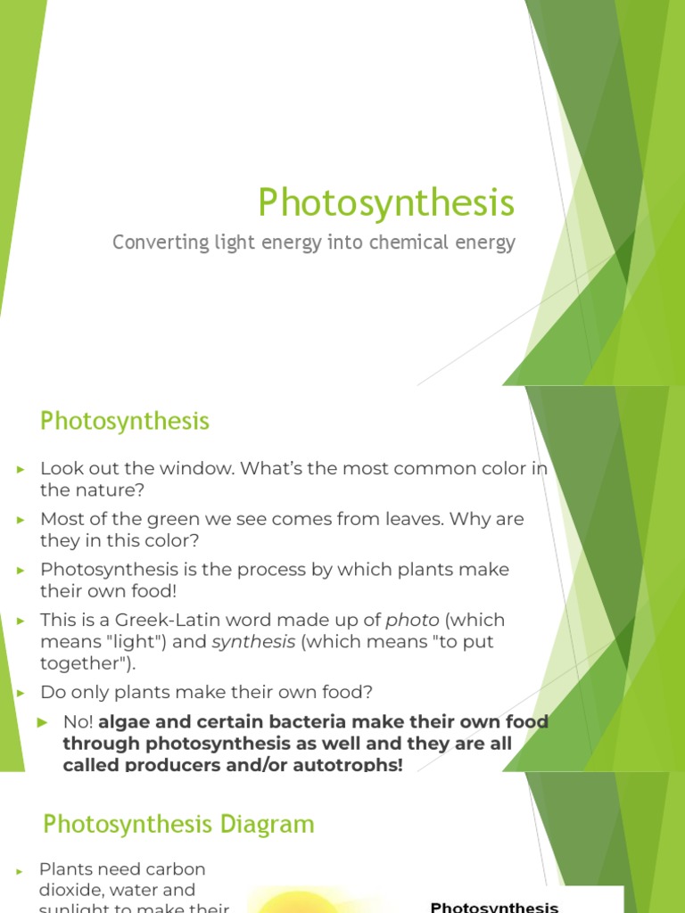 G8 Photosynthesis PDF Photosynthesis Plants