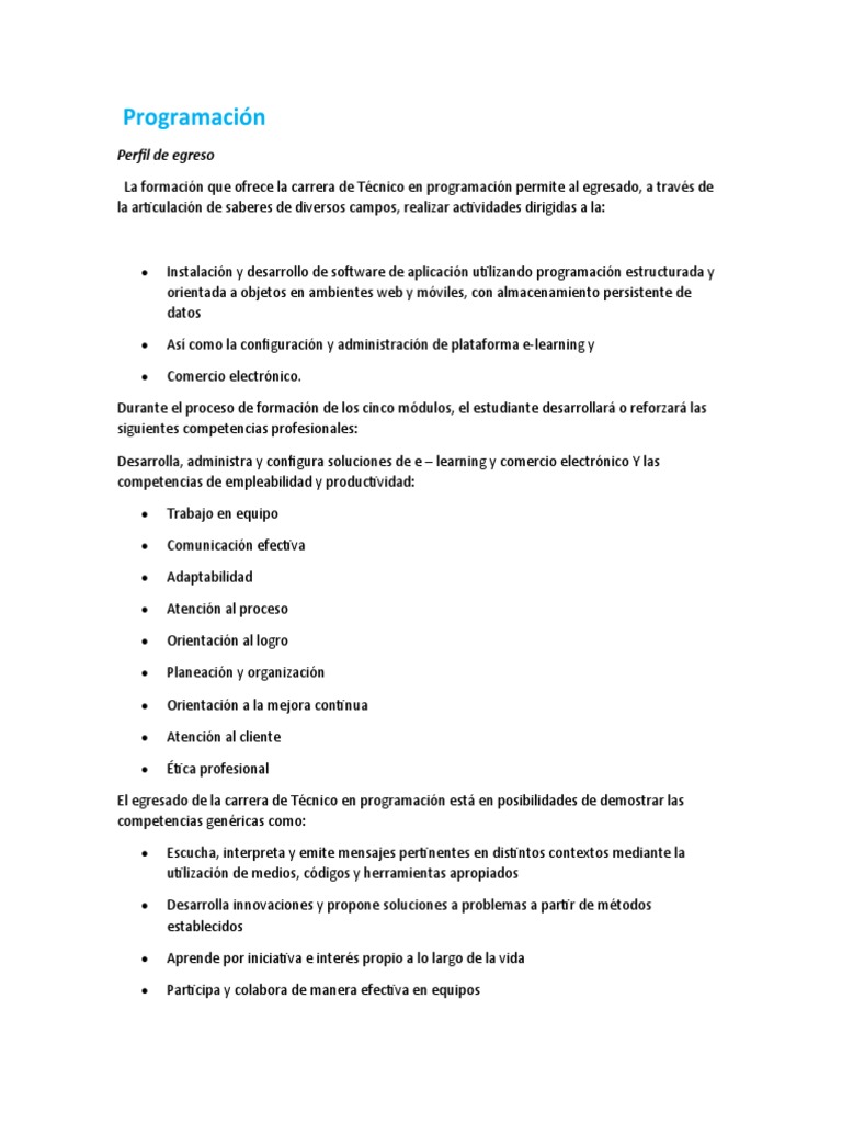 Perfil de Egreso en Programación | PDF