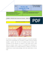 Ficha de Trabajo Nro 3 Pda 1 2dfdgo Año 22