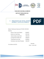 1.1 Presupuesto de Capital, Invercion Fija, Diferida y Capital de Trabajo