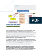 Estructura Conceptual