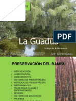 Presentacion Preservacion para Uam