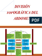 División abdominal 9 regiones