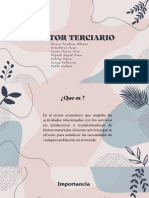 Sector Terciario