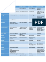 Tabla Anatomía Integradora