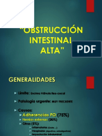 08 Obstrución Intestinal Alta - Parte 1