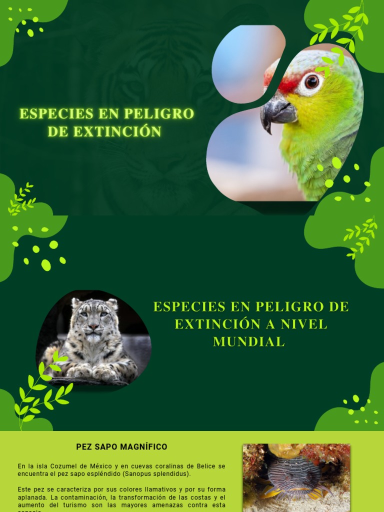 2022 07 07 22 35 27 202210040135 Especies en Peligro de Extincion | PDF ...