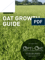 Oat Growth