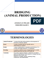 Bridging (Animal Production) - L1