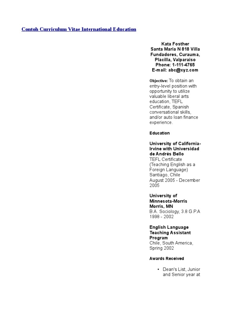 International Education CV Example | PDF