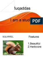 Muqaddas