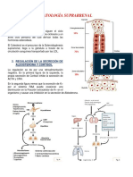 Patología Suprarrenal