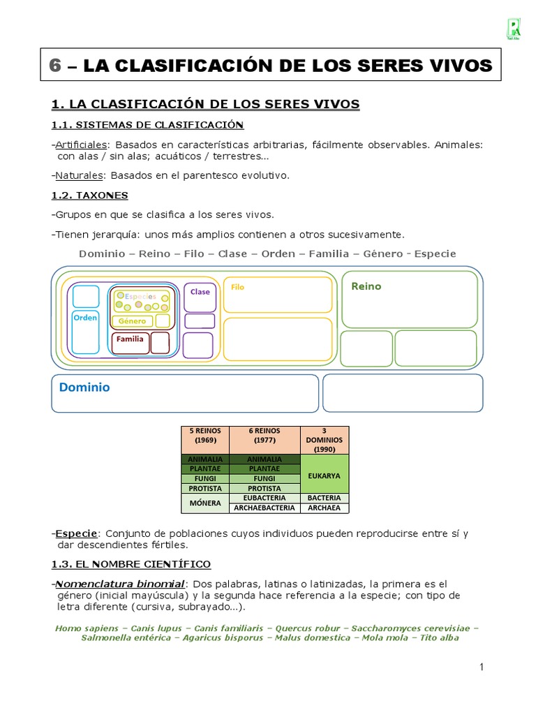 U6 La Clasificación De Los Seres Vivos Descargar Gratis Pdf Hongo