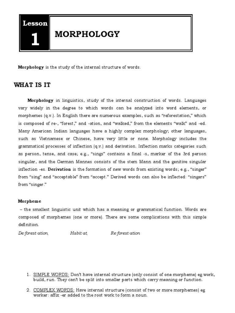 Morphology and Syntax | PDF | Word | Morphology (Linguistics)