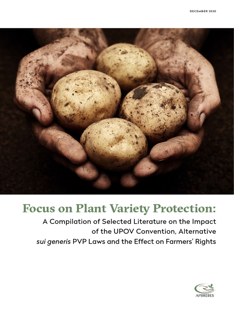Plant Variety Protection PDF Intellectual Property Plant Breeding