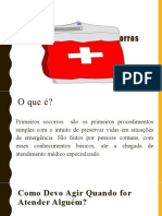 Projeto Educação em Saúde Nas Escolas Programa Noções Básicas de Primeiros Socorros