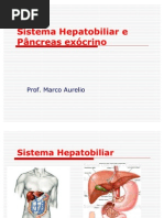 Hepatobiliar RB