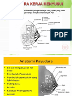 Mengoptimalkan Produksi ASI