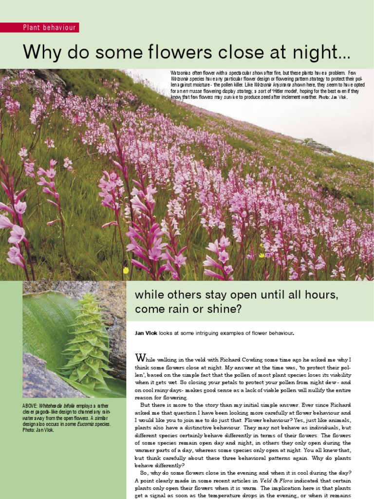 Why Do Some Flowers Open Close at Night Download Free PDF Flowers