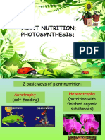 1 Plant Nutrition Photosynthesis