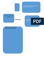 Mindmap Stem Cells