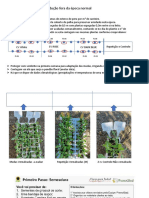 Statice e Girassois_ORIENTAÇÕES