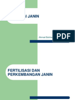 Perkembangan Sistem Pencernaan Janin