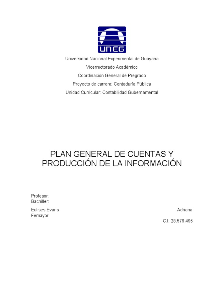 plan-general-de-cuentas-pdf-presupuesto-contabilidad