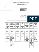 Struktur Organisasi Ukm