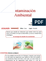 Ecologia y Contaminación Ambiental