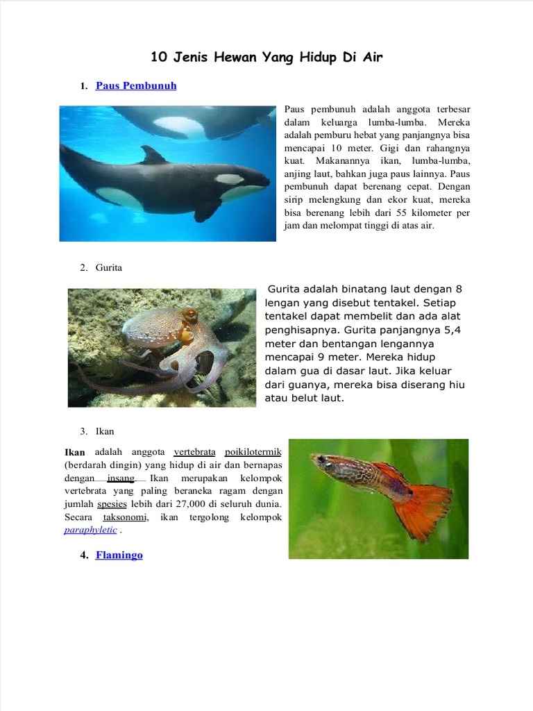 10 Jenis Hewan Yang Hidup Di Air | PDF