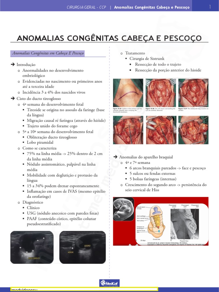 Penectomia e Anomalias Congênitas | PDF | Anatomia humana ...