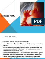 Periodo Fetal