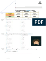 Teste Sinónimos e Antónimos