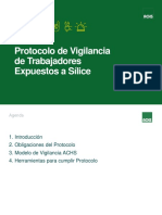 difusion_del_protocolo_minsal_vigilancia_trabajadores_expuestos_a_silice