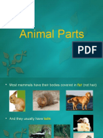 Animal Body Parts and Features