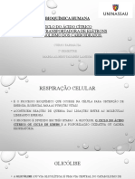 Aula 4 - Ciclo Do Ácido Cítrico - Cadeia Transportadora de Elétrons