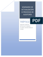 Tríptico: Seminario de Actualizacion Iii Procesos de Auditoría