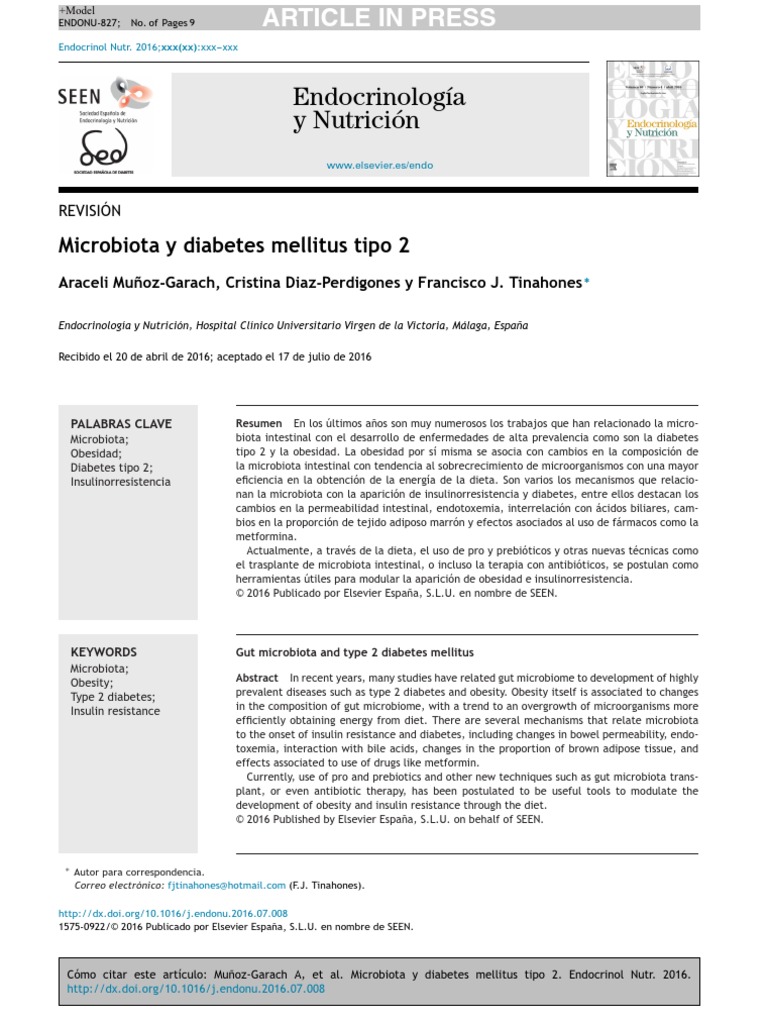Microbiota y Diabetes Mellitus Tipo 2 | PDF | Microbiota | Tejido adiposo