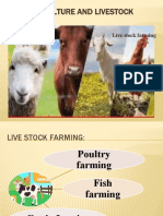 Agriculture and Livestocks 3