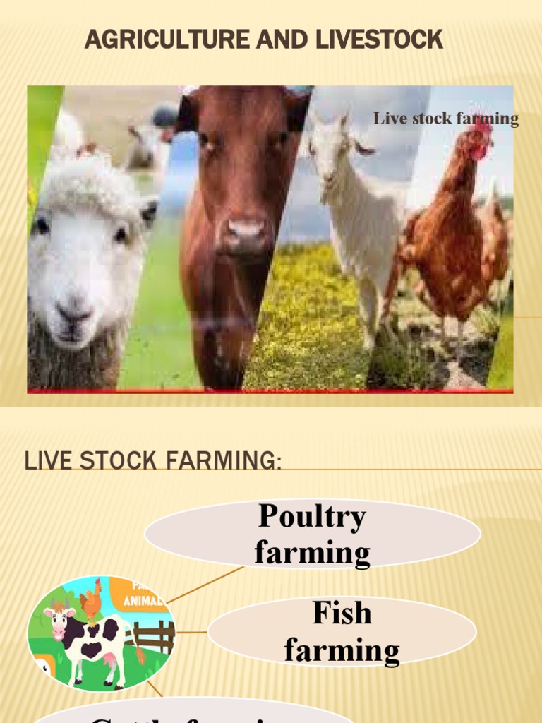 TYPES OF LIVESTOCK IN AGRICULTURE visual data 5