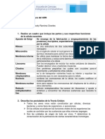 Hoja de Trabajo - La Célula y Estructura de Adn