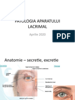 Patologia Aparatului Lacrimal