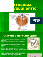 Patologia Nervului Optic